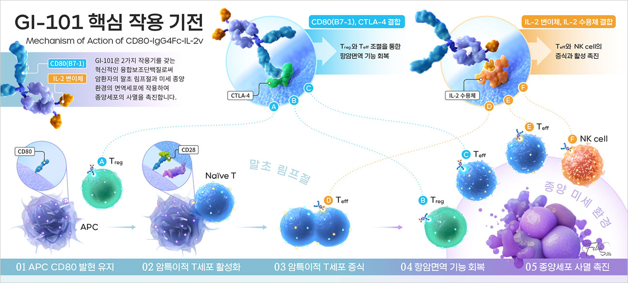 GI-101 핵심 작용 기전